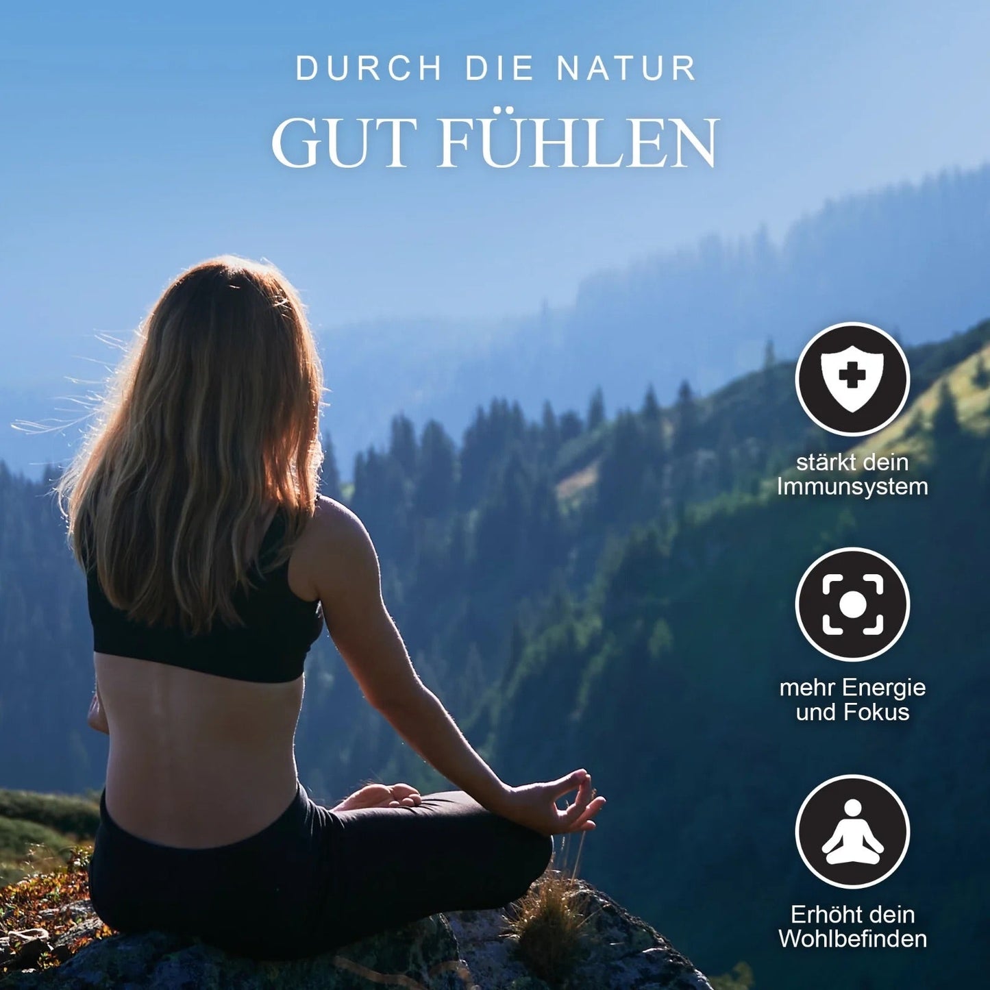 100% reines Elite Shilajit