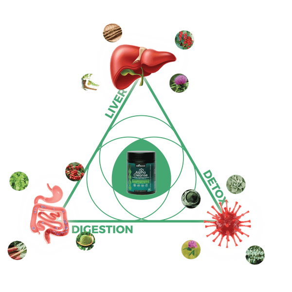 AlphaCleanse | The organic detox and cleansing solution that clinicians and customers love