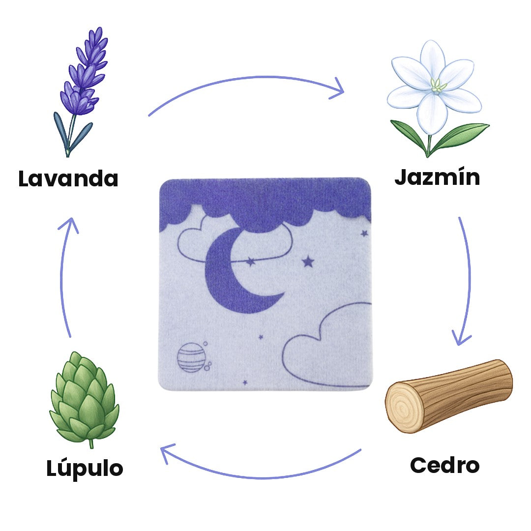 Lavanda, jazmín, cedro y lúpulo: los 4 ingredientes de Noctara
