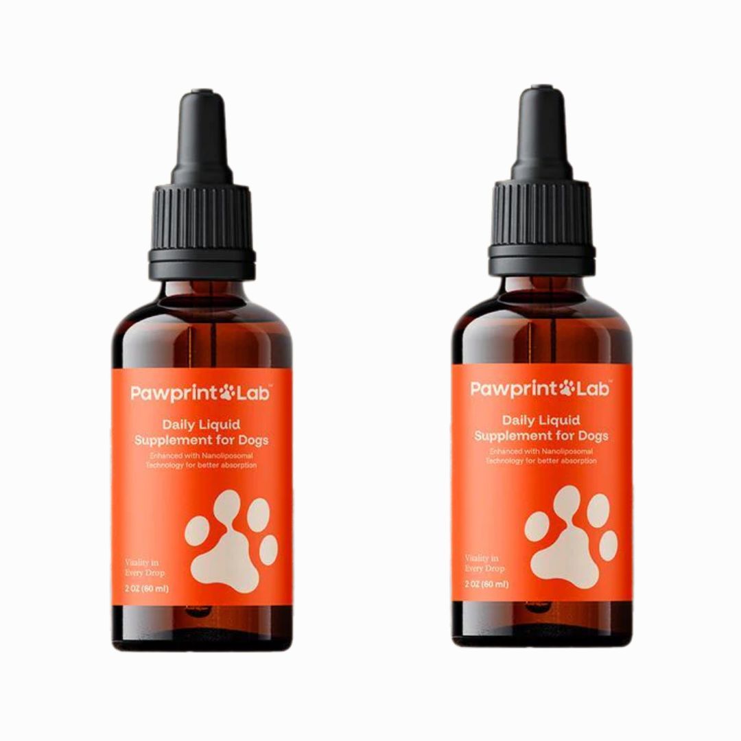 p2.jpg__PID:ed3bba9b-9fa8-4662-a1f5-8cd5989fc3a6