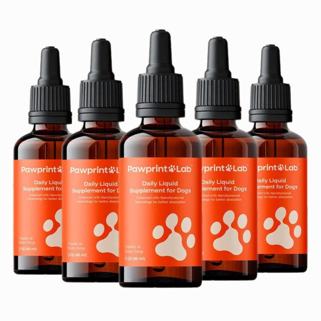 p3.jpg__PID:9fa89662-e1f5-4cd5-989f-c3a6bc5b8b29