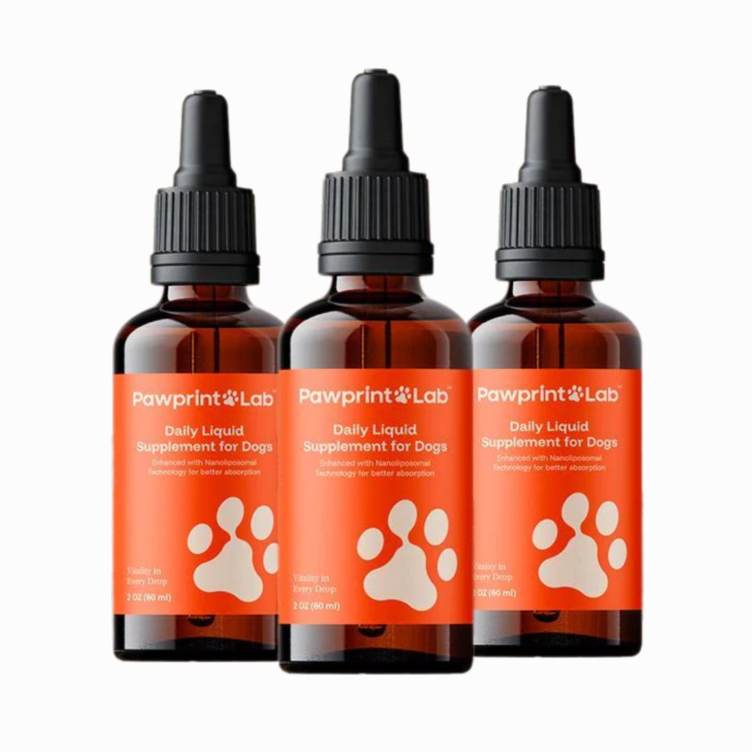 p4.jpg__PID:ba9b9fa8-9662-41f5-8cd5-989fc3a6bc5b